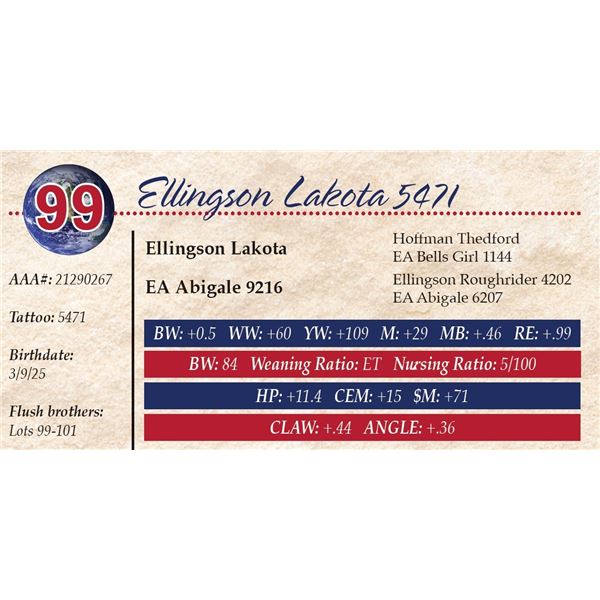 Ellingson Lakota 5471