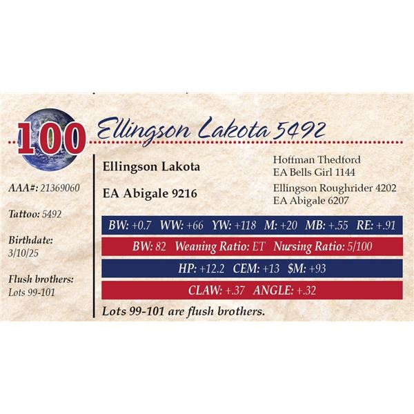 Ellingson Lakota 5492