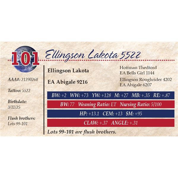 Ellingson Lakota 5522