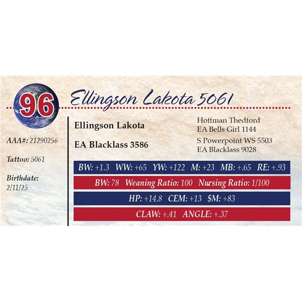 Ellingson Lakota 5061