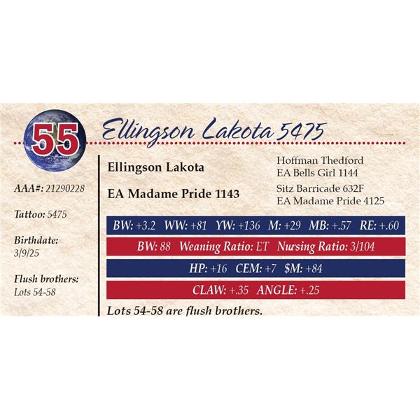 Ellingson Lakota 5475