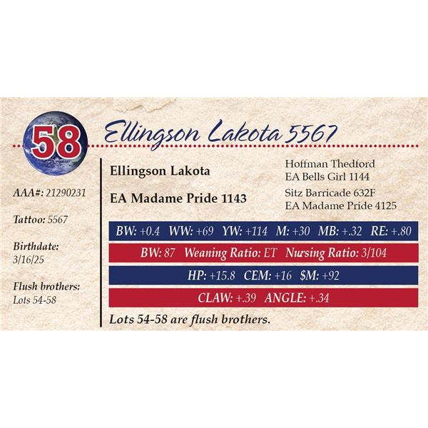 Ellingson Lakota 5567