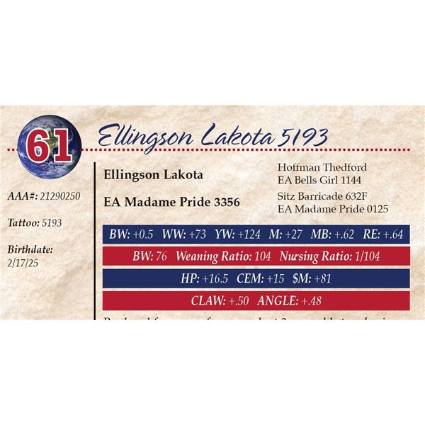 Ellingson Lakota 5193