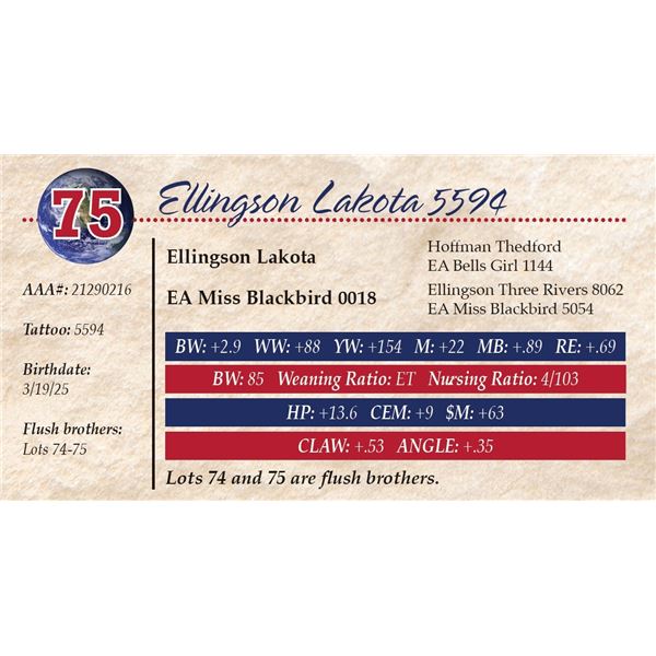 Ellingson Lakota 5594