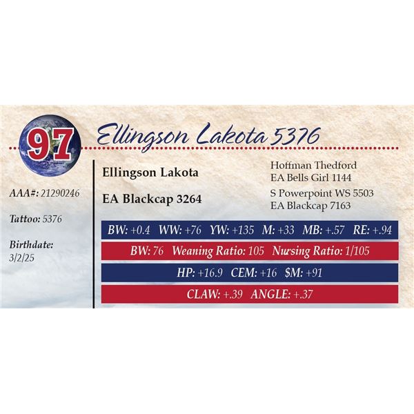 Ellingson Lakota 5376