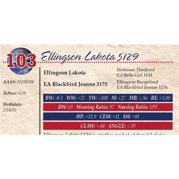 Ellingson Lakota 5129