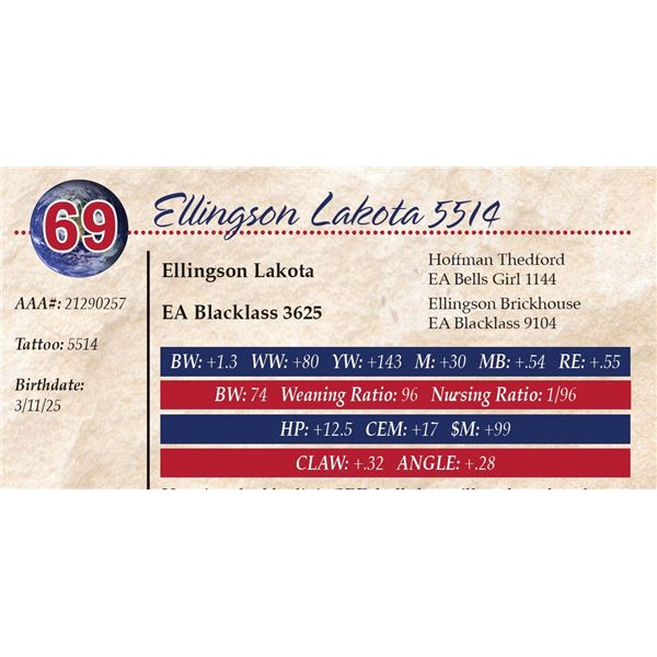 Ellingson Lakota 5514