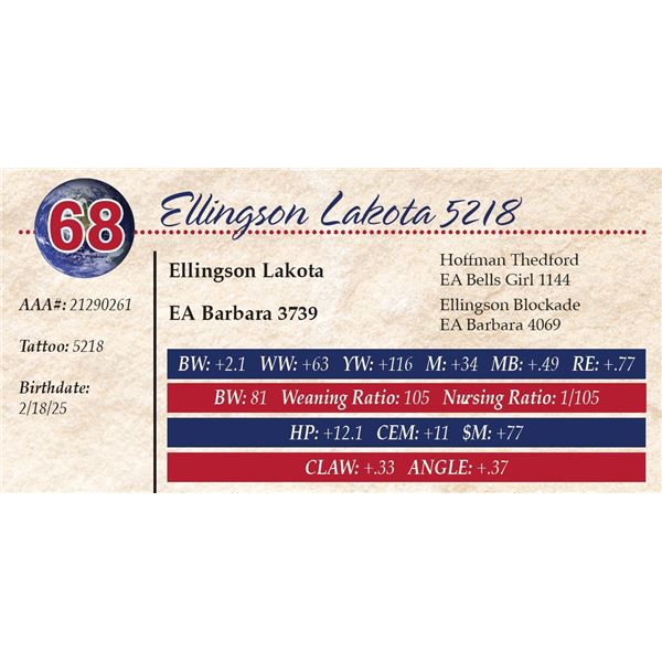 Ellingson Lakota 5218