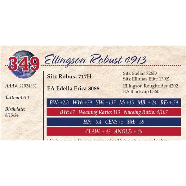 Ellingson Robust 4913