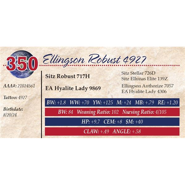 Ellingson Robust 4927