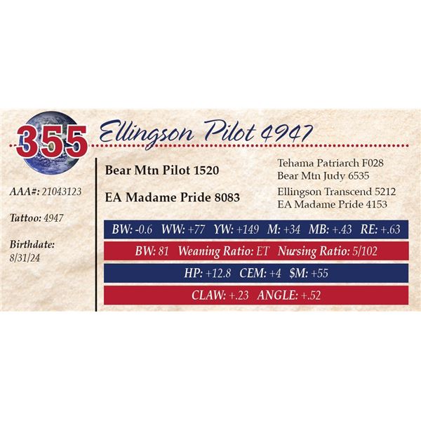 Ellingson Pilot 4947