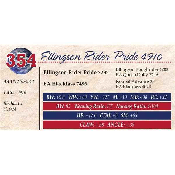 Ellingson Rider Pride 4910