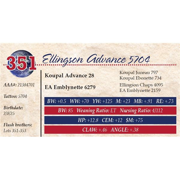 Ellingson Advance 5704