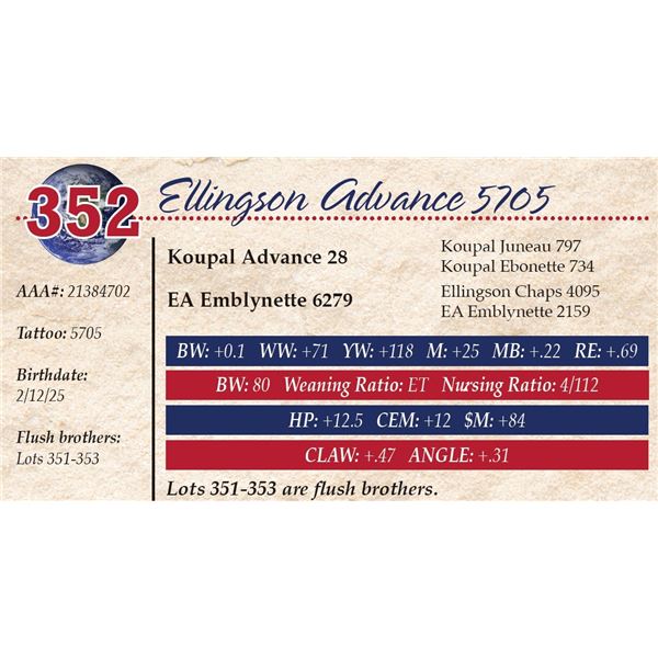 Ellingson Advance 5705