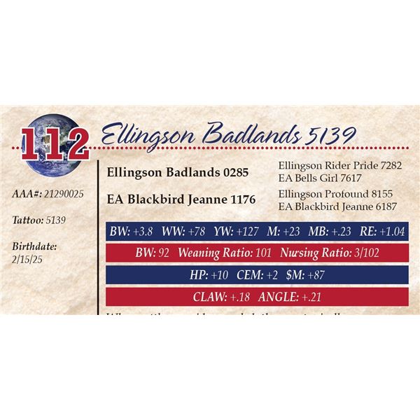 Ellingson Badlands 5139