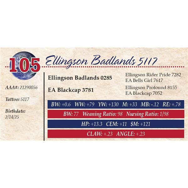 Ellingson Badlands 5117