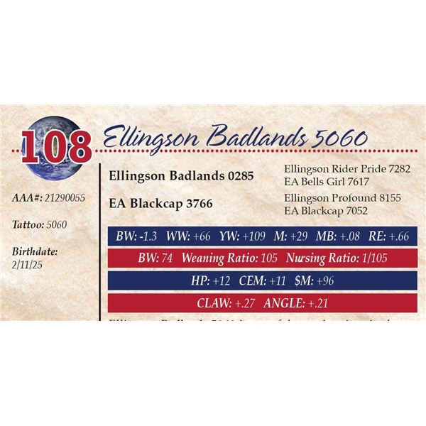 Ellingson Badlands 5060