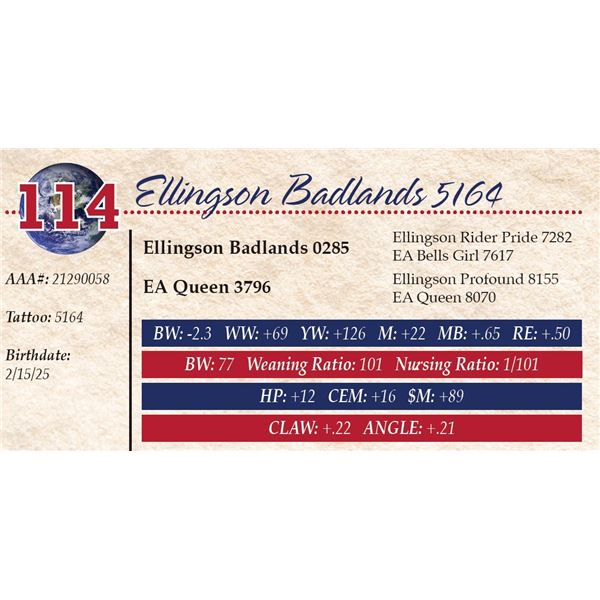 Ellingson Badlands 5164