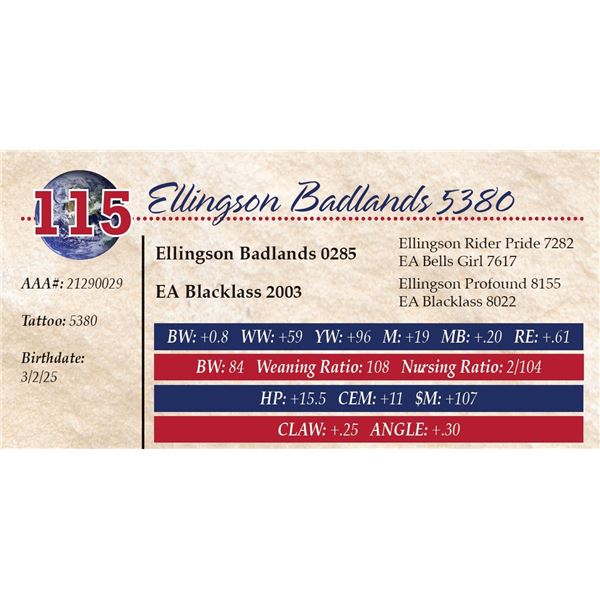 Ellingson Badlands 5380