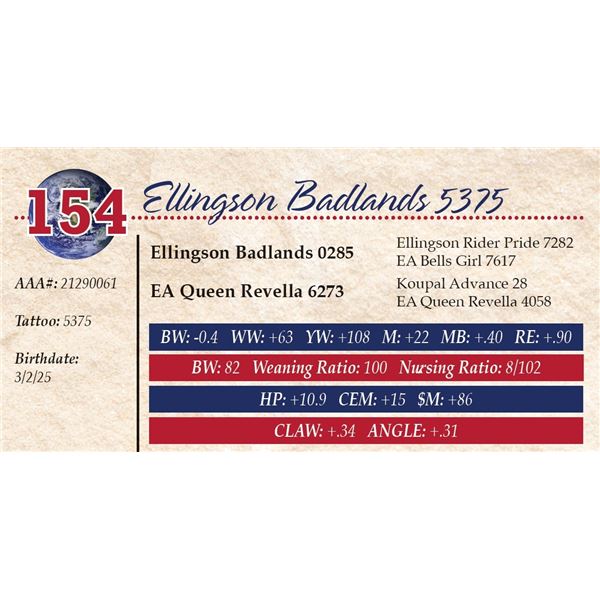 Ellingson Badlands 5375