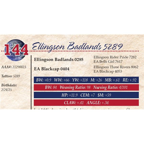 Ellingson Badlands 5289