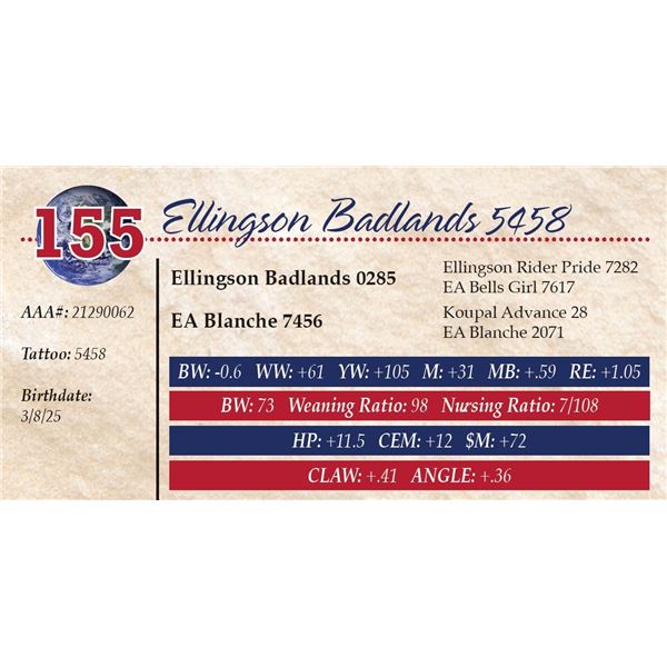 Ellingson Badlands 5458