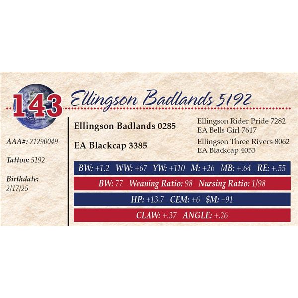 Ellingson Badlands 5192