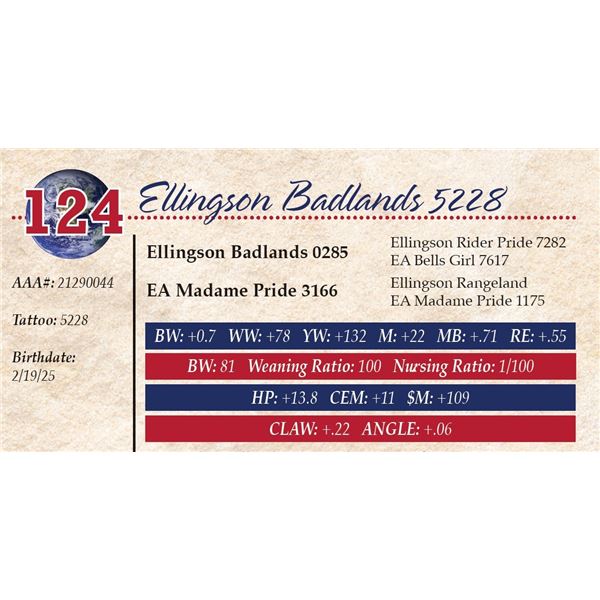 Ellingson Badlands 5228