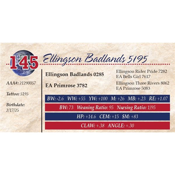 Ellingson Badlands 5195