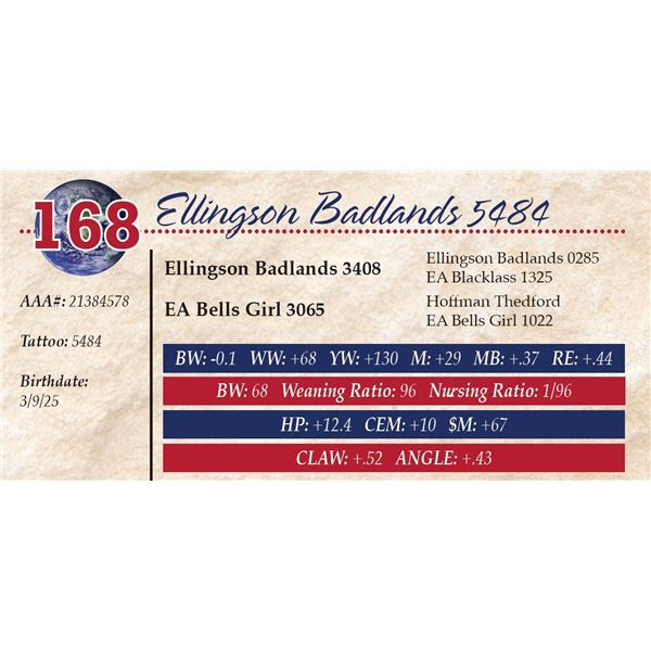 Ellingson Badlands 5484