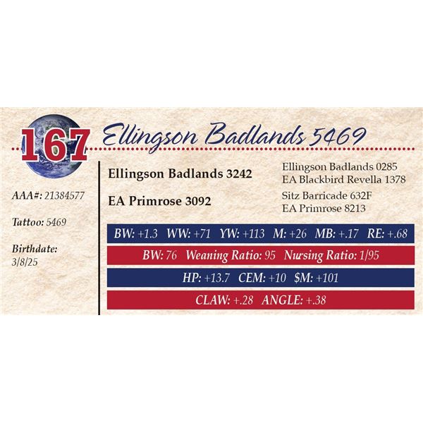 Ellingson Badlands 5469