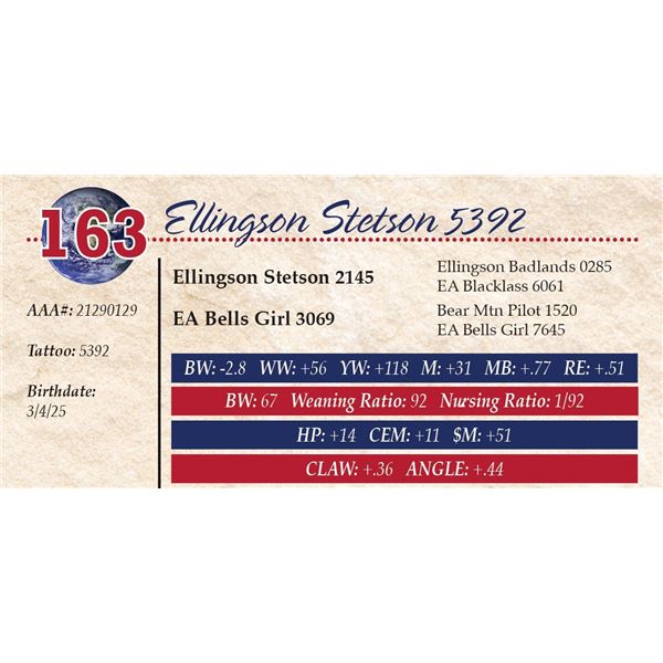 Ellingson Stetson 5392