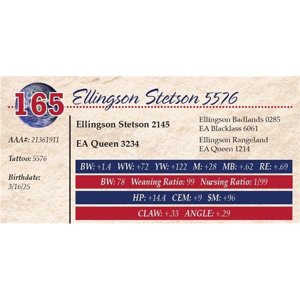 Ellingson Stetson 5576