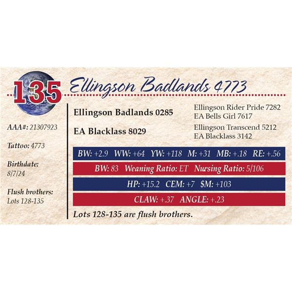 Ellingson Badlands 4773