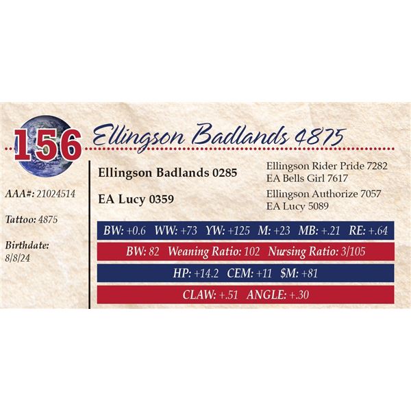 Ellingson Badlands 4875