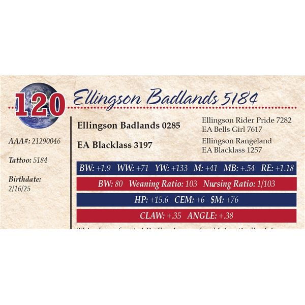 Ellingson Badlands 5184