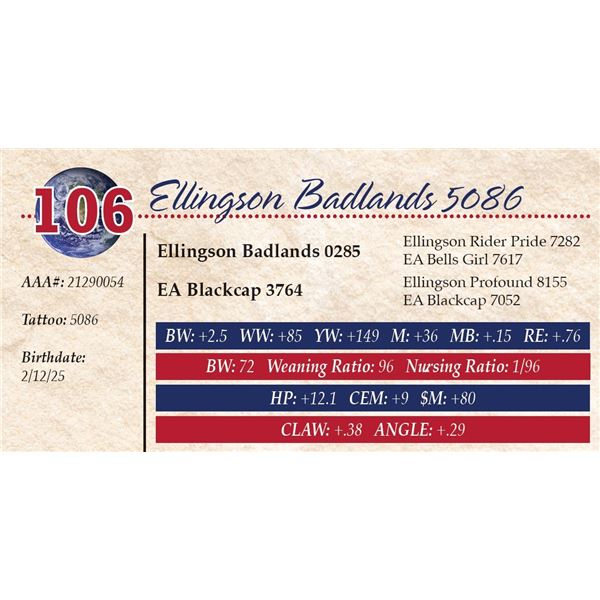 Ellingson Badlands 5086