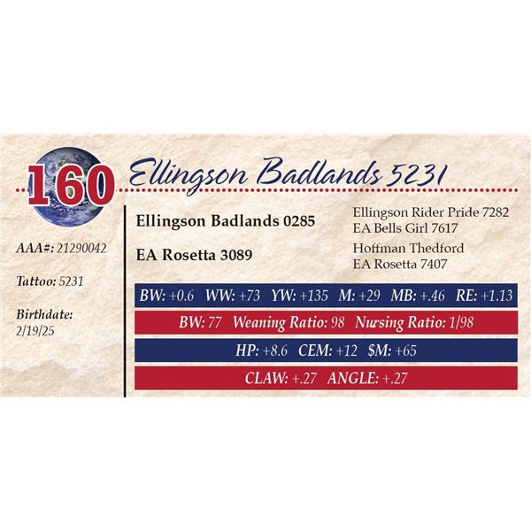 Ellingson Badlands 5231