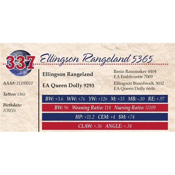 Ellingson Rangeland 5365