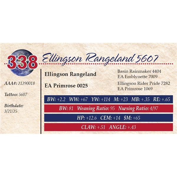 Ellingson Rangeland 5607