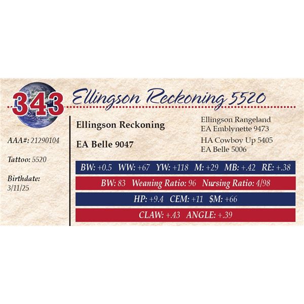 Ellingson Reckoning 5520