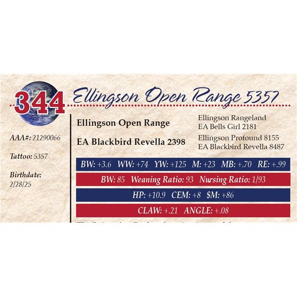Ellingson Open Range 5357