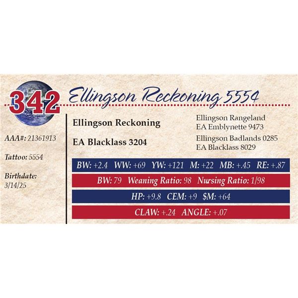 Ellingson Reckoning 5554