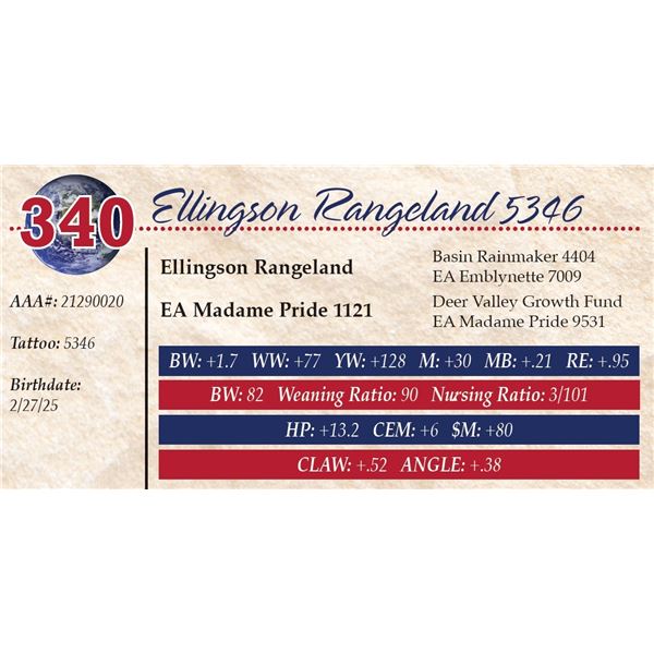 Ellingson Rangeland 5346