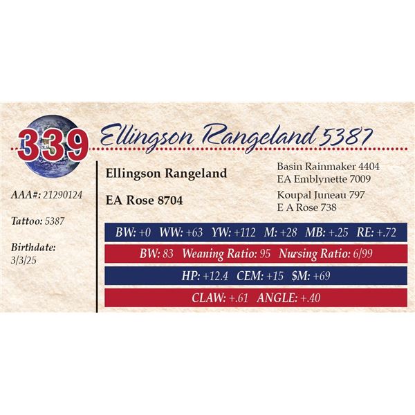 Ellingson Rangeland 5387