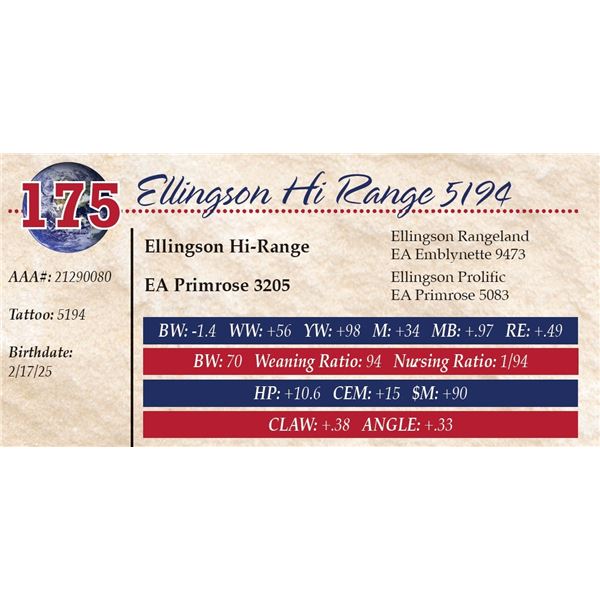 Ellingson Hi Range 5194