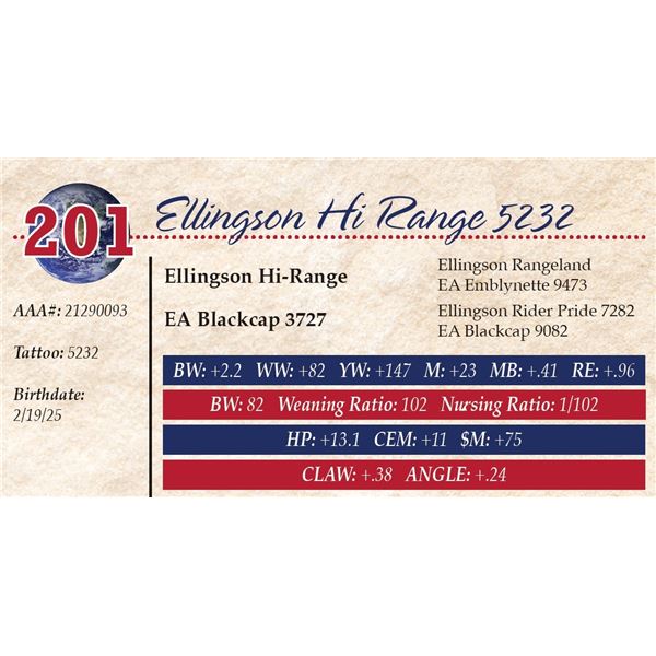 Ellingson Hi Range 5232