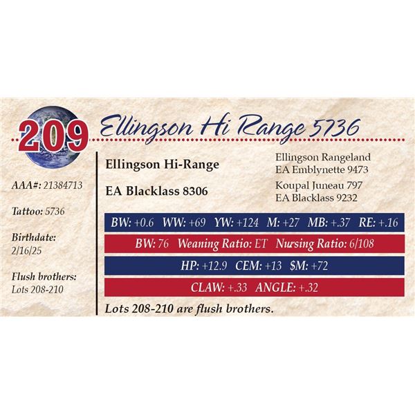 Ellingson Hi Range 5736