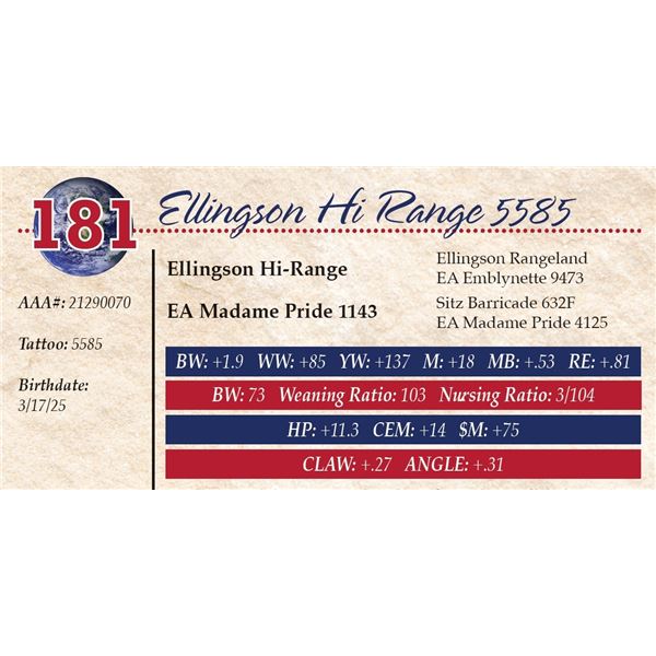 Ellingson Hi Range 5585