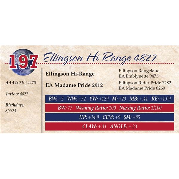 Ellingson Hi Range 4827